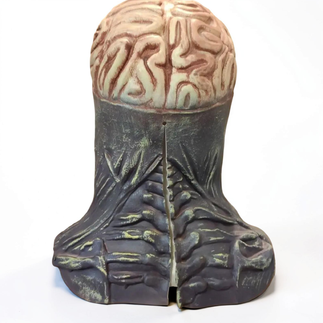 Ontblote Hersenen Schedelmasker voor directe horror