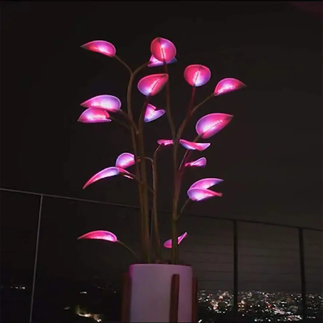 Pianta da interno illuminata per un'atmosfera personalizzata