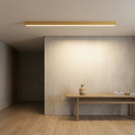 Scandinavische LED-plafondlamp voor heldere verlichting  