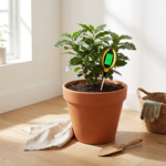 Tester del terreno 4-in-1 per piante più sane