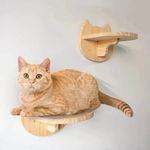Wand-Klettergerüst für Katzen für bodenfreie Beschäftigung  