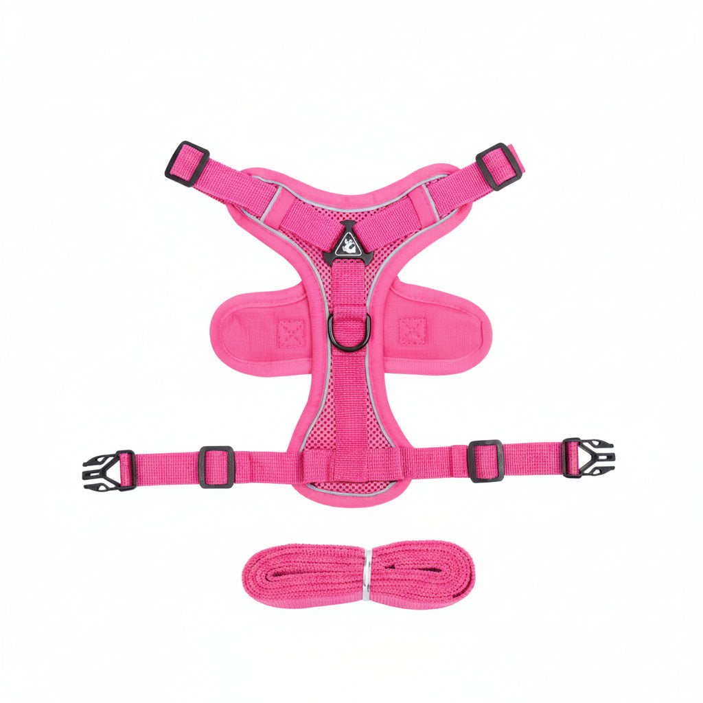 Escape-Proof Cat Harness for Safer Walks
