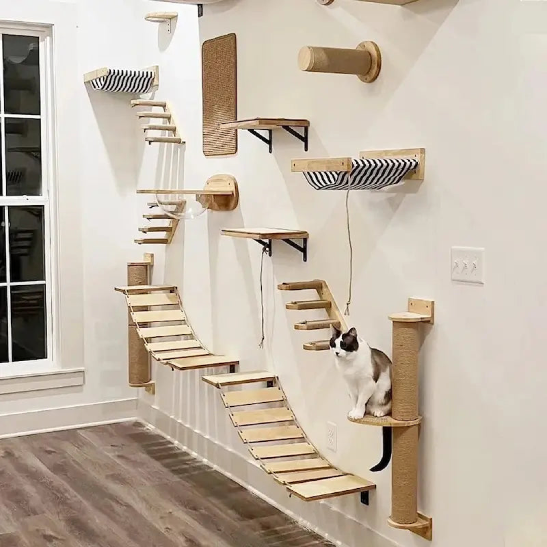 Wand-Klettergerüst für Katzen für bodenfreie Beschäftigung  