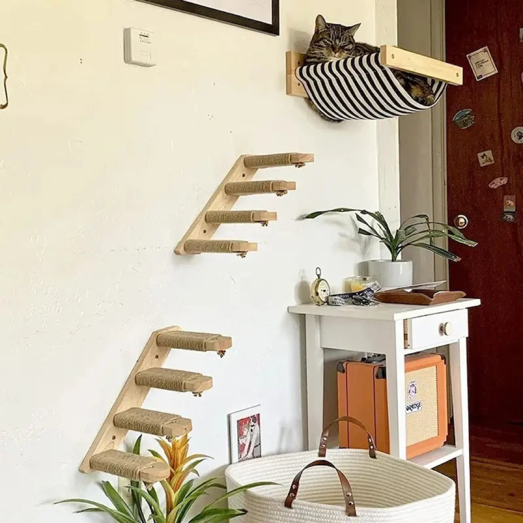Wand-Klettergerüst für Katzen für bodenfreie Beschäftigung  