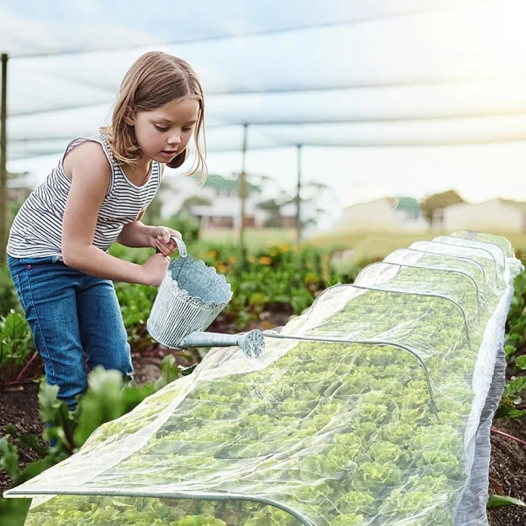 Filet barrière anti-nuisibles de jardin pour des récoltes plus saines